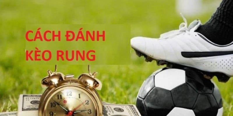 Cách xem kèo rung Cách xem kèo rung chuẩn xác