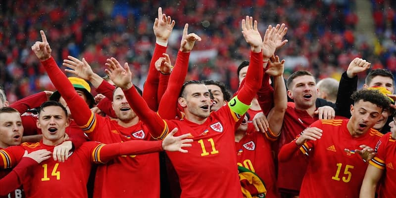 Đội tuyển Wales Đội tuyển Wales về định hướng phát triển