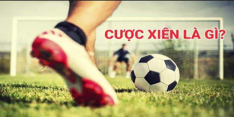 Cược xiên là gì Cược xiên là gì? Hướng dẫn hiệu quả