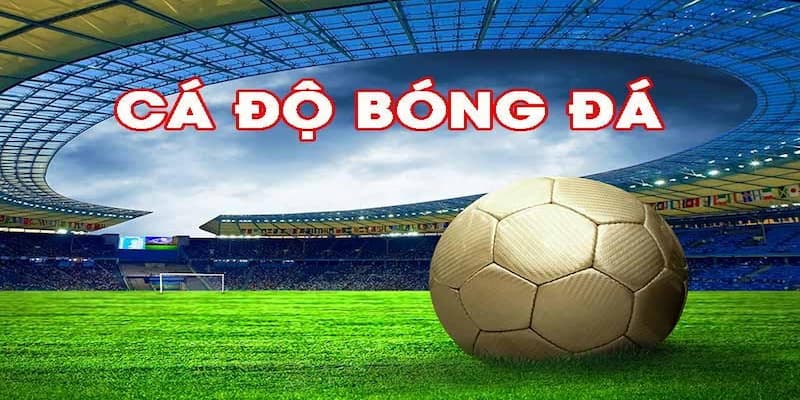 Giới thiệu Giới thiệu những sai lầm khi lựa chọn